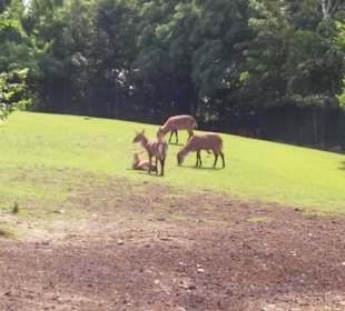 Zoo Wrocław