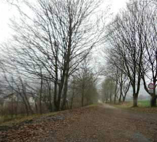 Bad Gandersheim