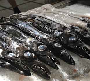 Espada - Degenfisch