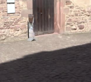 Schloss Heidelberg