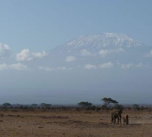 Kilimanjaro