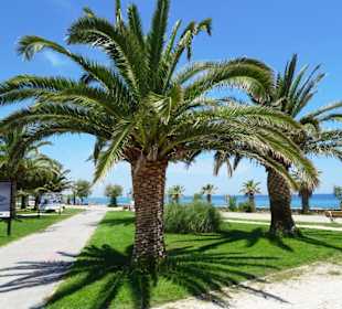 Spaziergang über die Strandpromenade Argelès-Plage