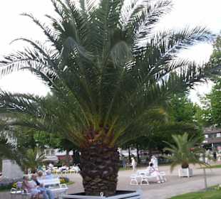 Kurgarten Bad Kissingen