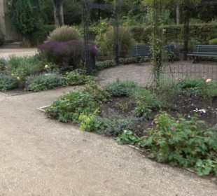 Rosengarten im Tiergarten