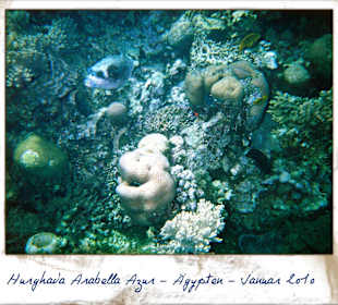 Ich beim Schnorcheln