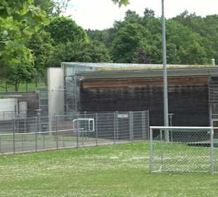 Tälehalle