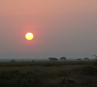 Sonnenaufgang im Amboseli