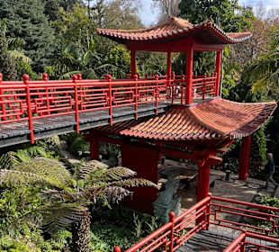Asiatischer Themenbereich des Parks