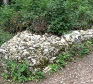 Burg Alt-Lichtenstein