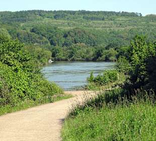 Fahrradweg rechts der Saar Richtung Merzig