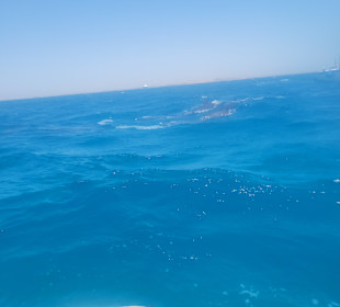 Stadtrundfahrt Hurghada