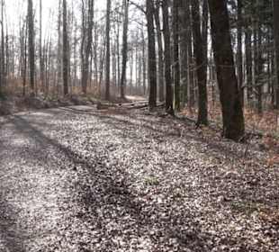 Premiumwanderweg Hohenwittlingensteig