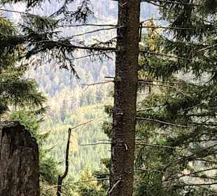 Wandern Schliffkopf