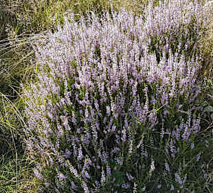 Wandern Schmallenberg