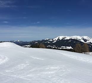 View from the top of the mountain