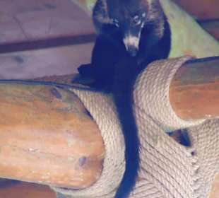 La Paz Waterfall Gardens