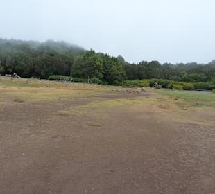 Impressionen La Gomera