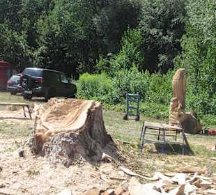 Kreativ Kettensägen am Rhein