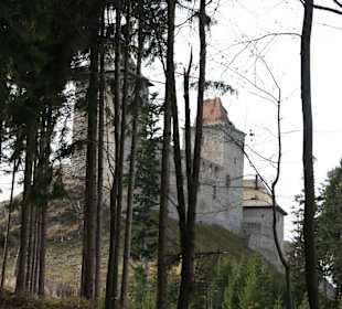Wanderung zur Burgruine