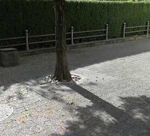 Wallfahrtskirche Heiligenbronn