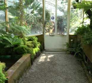 Gewächshäuser Botanischer Garten