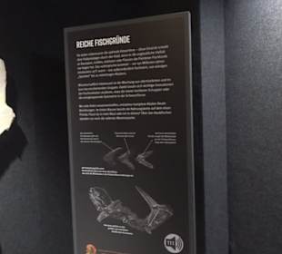 Dinosaurier Museum Altmühltal