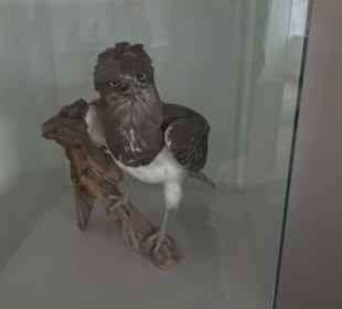 Museum Rosenburg