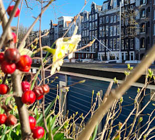 Stadtrundfahrt Amsterdam