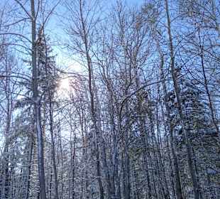 Stadtrundgang Moncton