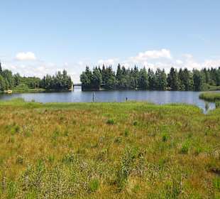 Wandern Aigen-Schlägl