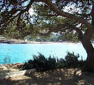 cala bassa - wahnsinns ausblicke