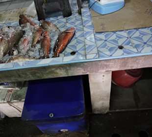 Besuch auf dem Markt