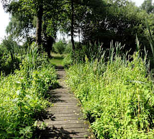 Unterwegs auf dem Huntepadd