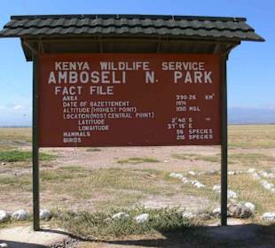 Flugfeld im Amboseli Nationl Park.