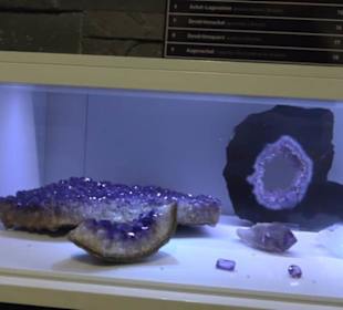 Museum Natur und Mensch