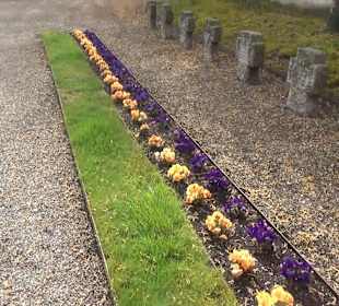 Friedhof Mittelzell