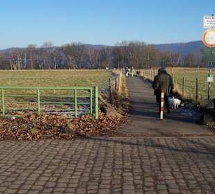 Auf dem Weg zum See