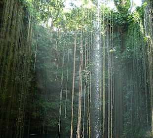 Ausflug nach den Zenoten