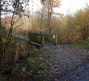 Zugang zum tollen Schilfsteg