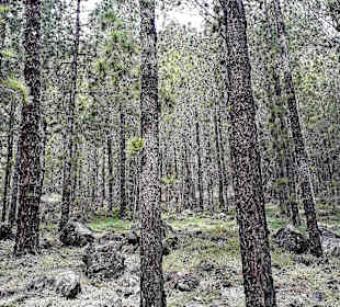 Traumhafte Landschaft