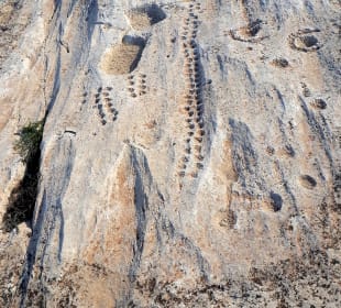 Al Jassasiya Rock Art Site