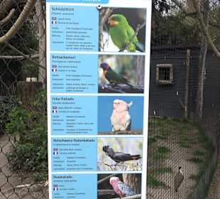 Zoologischer Stadtgarten
