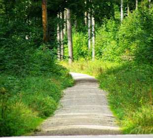 Der Fünf-Seidla-Steig bei Gräfenberg