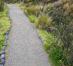Cotopaxi Nationalpark