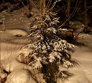 Wandern Mittelberg (Vorarlberg)