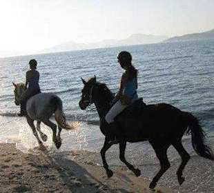 All riding clothes and camera bags provided free.