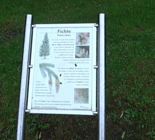 Baumlehrpfad Glacis Park