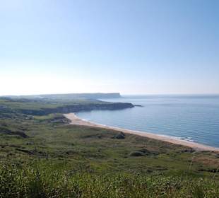 Vista costa