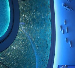 Monterey Bay Aquarium 