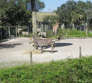 Lowry Zoo